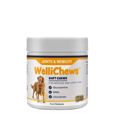 NutriScience WelliChews dog JOINT ízület támogató funkcionális jutalomfalat közepes és nagytestű kutyának 60db 
