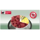 PLATINUM Adult Beef+Potato kutyatáp felnőtt kutyának marhahúsból 1,5kg