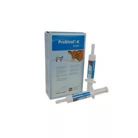 Probicol-K paszta 20 ml borjú