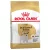Royal Canin Canine Jack Russell Adult száraztáp 1,5kg