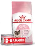   Royal Canin Feline Mother & Babycat száraztáp 2kg + ajándék 1db Mother & babycat 195g konzerv