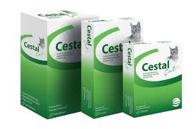 Cestal Cat rágótabletta | Macska | Élősködők ellen | féreghajtók - Petissimo