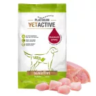 Platinum VETACTIVE Sensitive gyógytáp pulykahússal érzékeny emésztésű kutyának 5kg