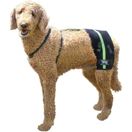 Walkinpets - Hip-EEZ Support System kutyáknak M (11-22kg)