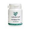 Armillaria Plus (500mg) Armillaria Plus (500mg)