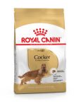 Royal Canin Canine Cocker Adult száraztáp 3kg