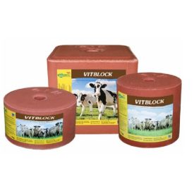 Vitblock mikroelemes nyalósó 10kg