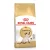 Royal Canin Feline Siamese száraztáp 400g