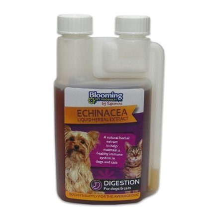 BP Echinacea Liquid Herbal Extract – Kasvirág immunerősítő oldat kutyáknak és macskáknak 250ml