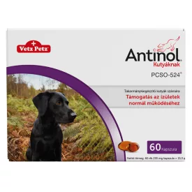 Antinol komplex izületvédő kapszula kutyáknak 60db