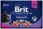 Brit Premium Cat Fish multipack 4x100g