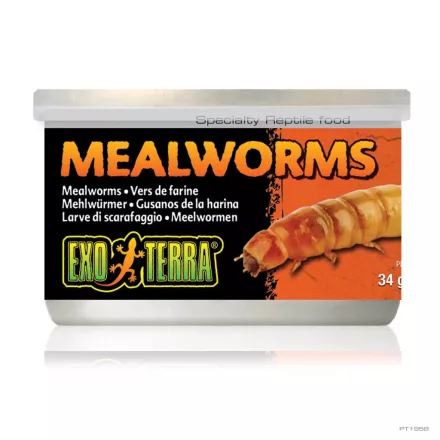 Exo-Terra PT1958 Mealworms - speciális lisztkukac konzerv hüllőeledel 34g
