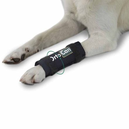 Ortocanis - Ízületvédő lábszárra kutyáknak S méret (6-8cm)