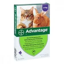Advantage spot on ampulla macska és nyúl részére 4-8 kg       1 ampulla