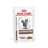 Royal Canin Feline Gastro Intestinal 100g Cat Royal Canin Feline Gastro Intestinal 100g Cat