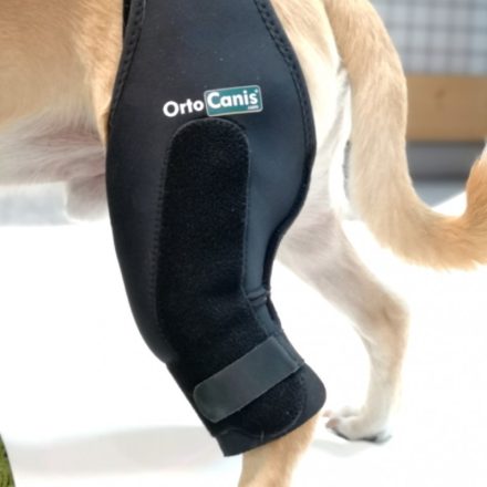 Ortocanis - Térdrögzítő merevítővel kutyáknak Mini (14-16cm)