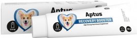 Aptus Recobooster Dog paszta 100 g