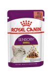 Royal Canin Feline Sensory Smell Gravy alutasak 12x85g