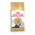 Royal Canin Feline Persian száraztáp 4kg