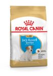 Royal Canin Canine Jack Russell Puppy 500g