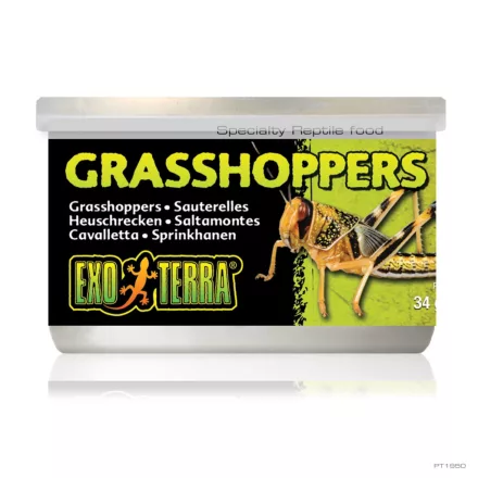 Exo-Terra PT1950 Grasshoppers - speciális szöcske konzerv hüllőeledel  34g